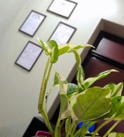 HL DIAGNOSTIC PATHOLOGY