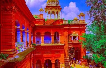 D. A. V. (Dayanand Anglo Vedic) College