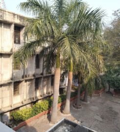 D. A. V. (Dayanand Anglo Vedic) College