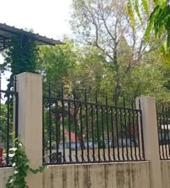 D. A. V. (Dayanand Anglo Vedic) College